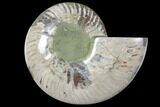 Wide Polished Fossil Ammonite Dish - Inlaid Ammonite #133249-2